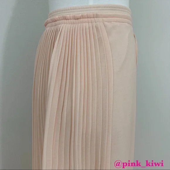 See by Chloé Pleated Georgette Chiffon Maxi Skirt - Picture 6 of 9